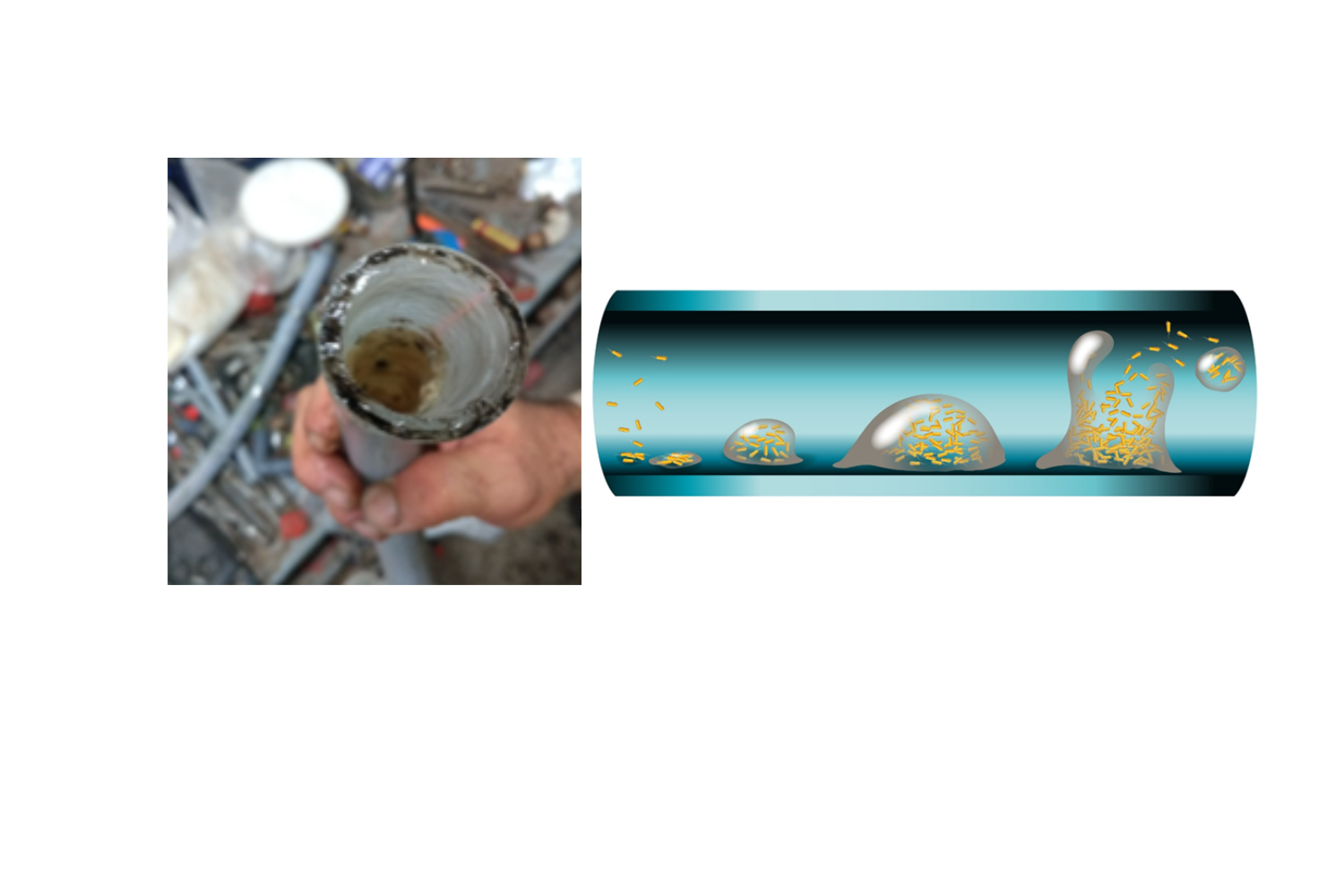 biofilm illustration and pipe image