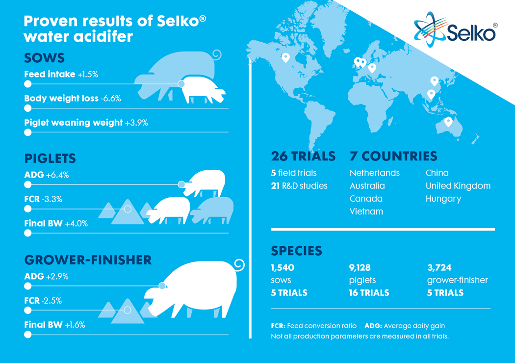 selko ph infographic for swine