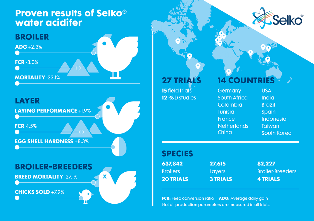 selko ph infographic for poultry