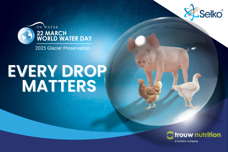 world water day