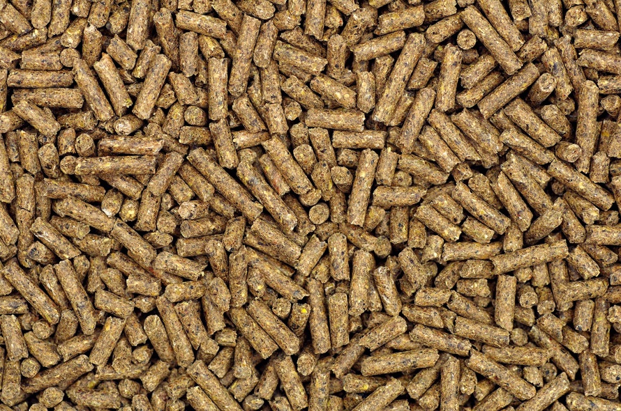 feed pellets