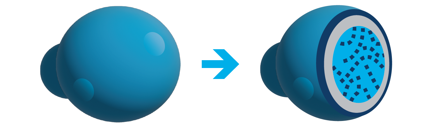 inactivated yeast cell